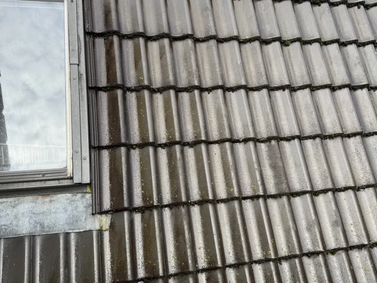 Close-up van dakpannen met mos en groene aanslag naast een dakkapel in Apeldoorn