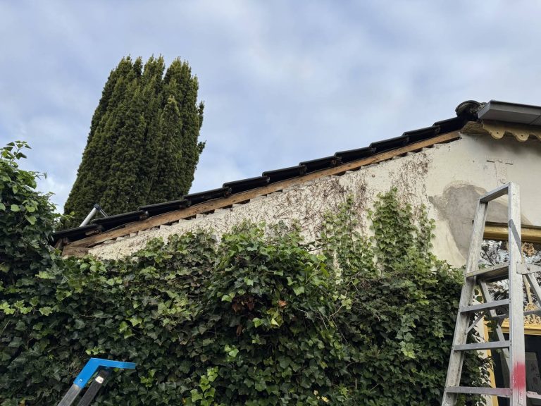 Windveer in Apeldoorn door Dakdekker Specialist Apeldoorn