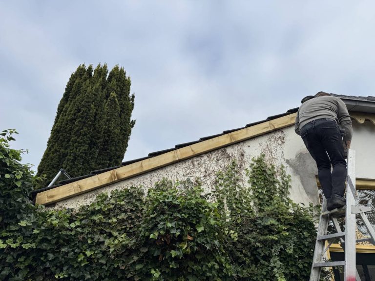 Windveer in Apeldoorn door Dakdekker Specialist Apeldoorn