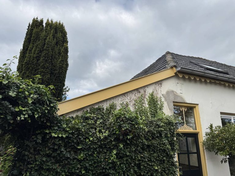 Windveer in Apeldoorn door Dakdekker Specialist Apeldoorn